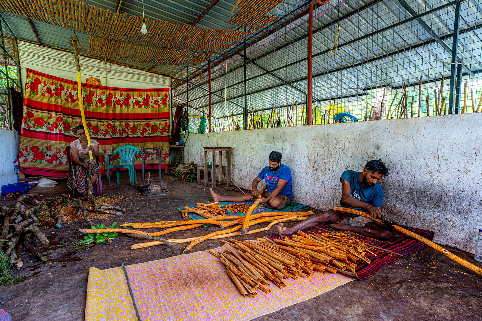 Cinnamon Estate Tour