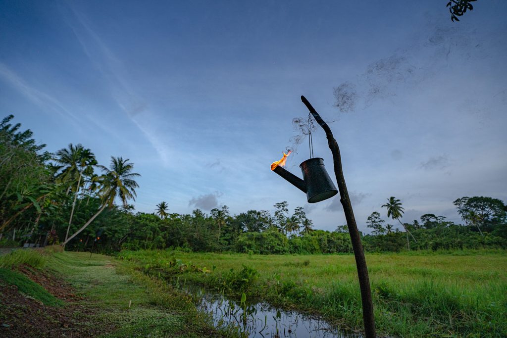 Quiet garden and outdoor relaxation area at Villa Pavo cinnamon plantation stay near Ambalangoda
