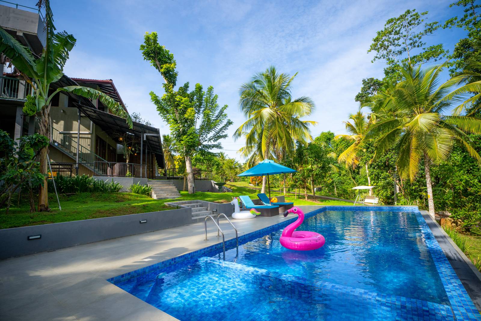 Private villa with swimming pool at Villa Pavo surrounded by tropical greenery near Ambalangoda
